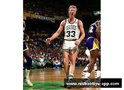NBA球员英文名大揭秘：探索联盟明星的身世背景